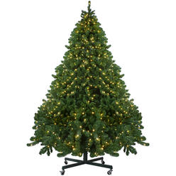 Northlight 9' Pre-Lit Full Olympia Pine Artificial Christmas Tree - Warm White Lights