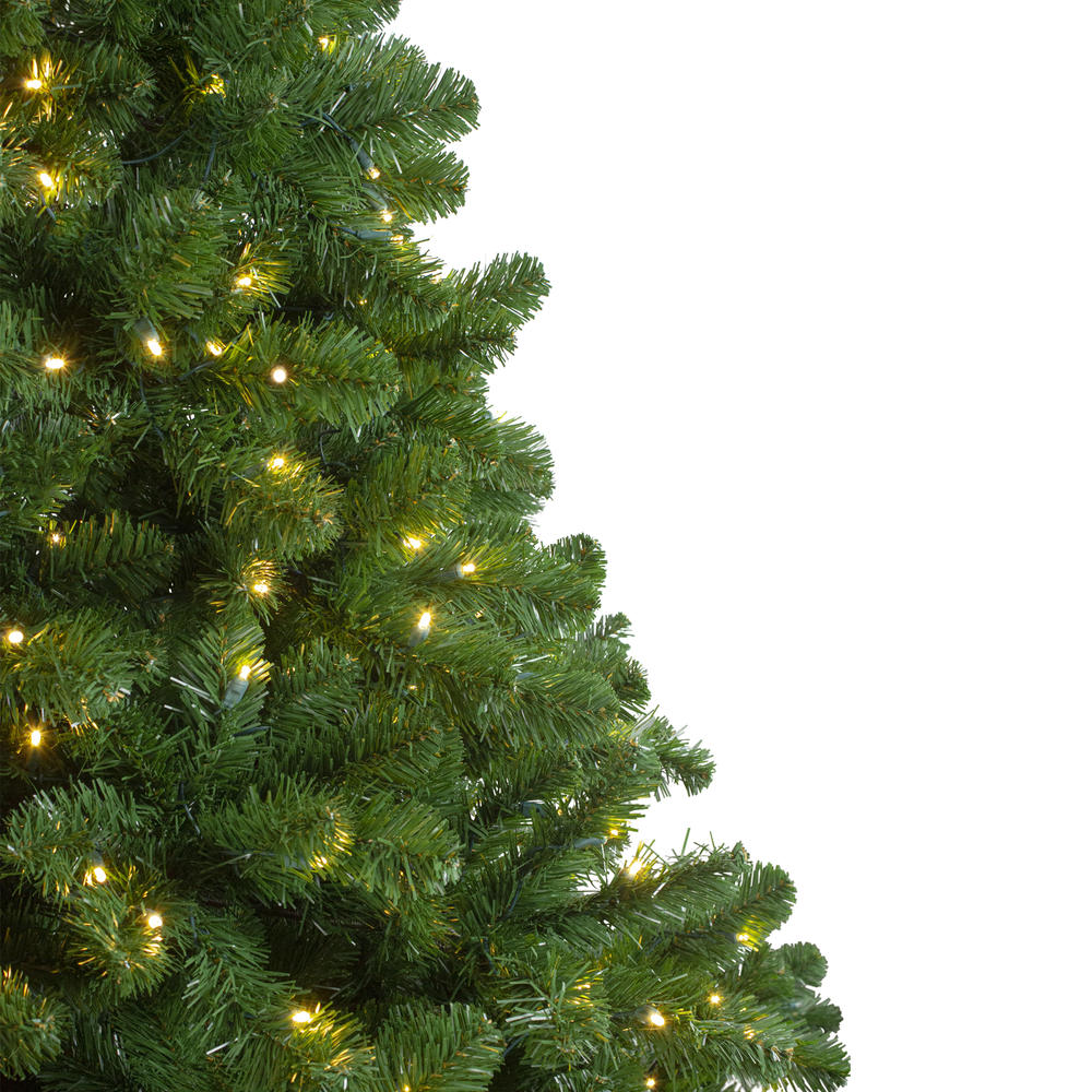 Northlight 14' Pre-Lit Full Olympia Pine Artificial Christmas Tree - Warm White Lights