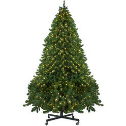 Northlight 14' Pre-Lit Full Olympia Pine Artificial Christmas Tree - Warm White Lights