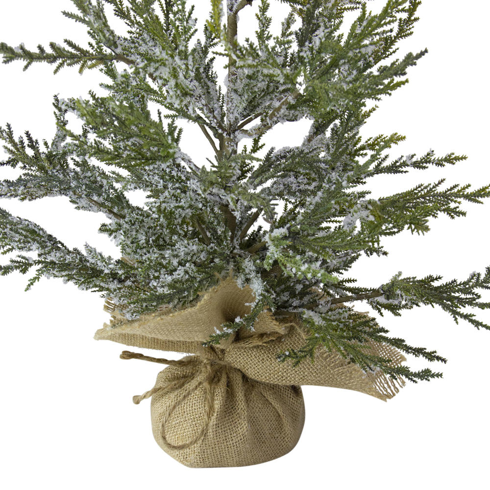 Northlight 2' Potted Iced Cedar Pine Medium Artificial Christmas Tree, Unlit