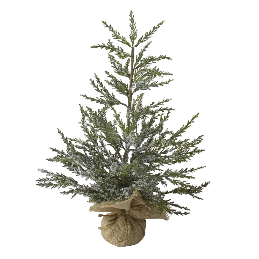 Northlight 2' Potted Iced Cedar Pine Medium Artificial Christmas Tree, Unlit