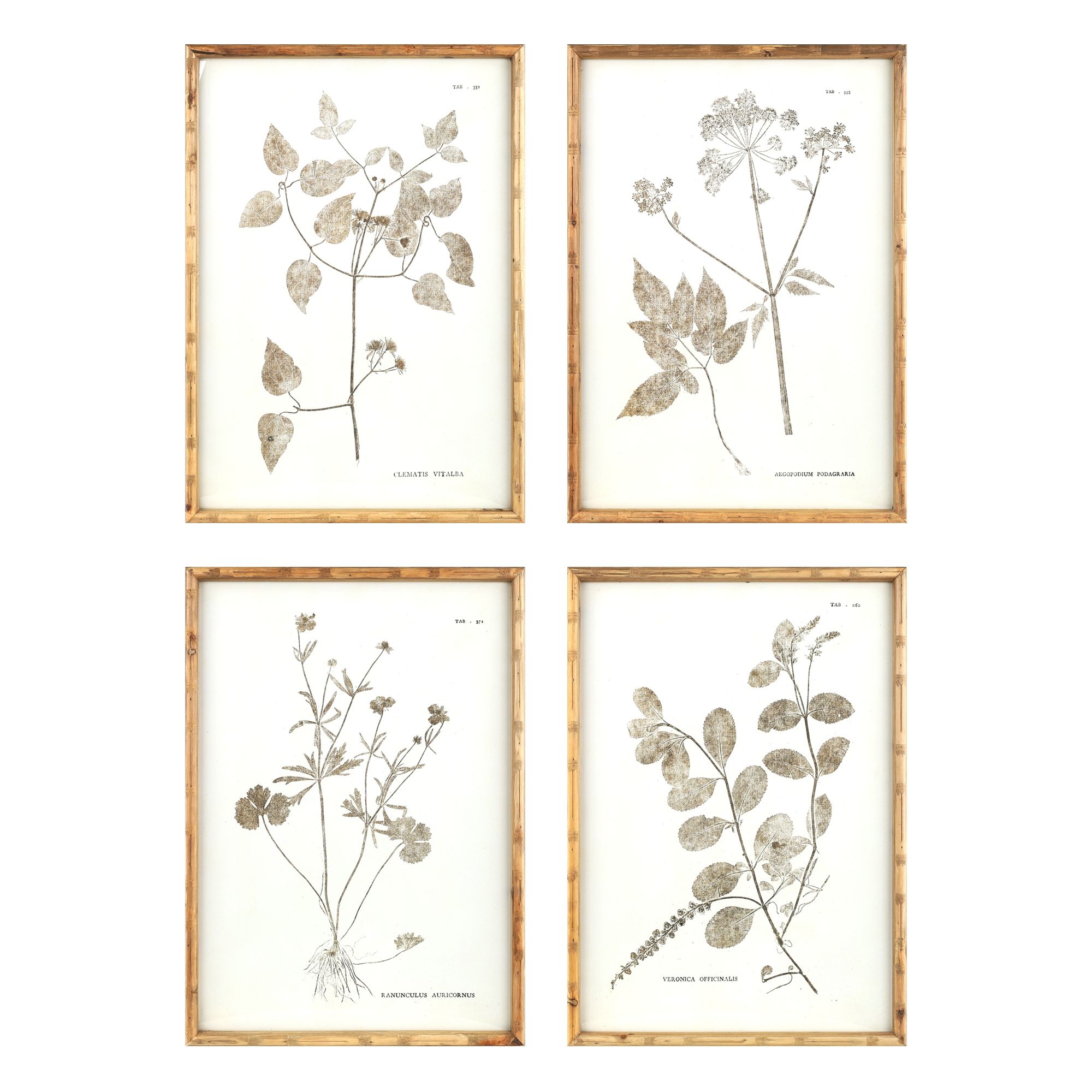 Melrose Encyclopedia Floral Framed Wall Art - 19.5" x 27" - Set of 4