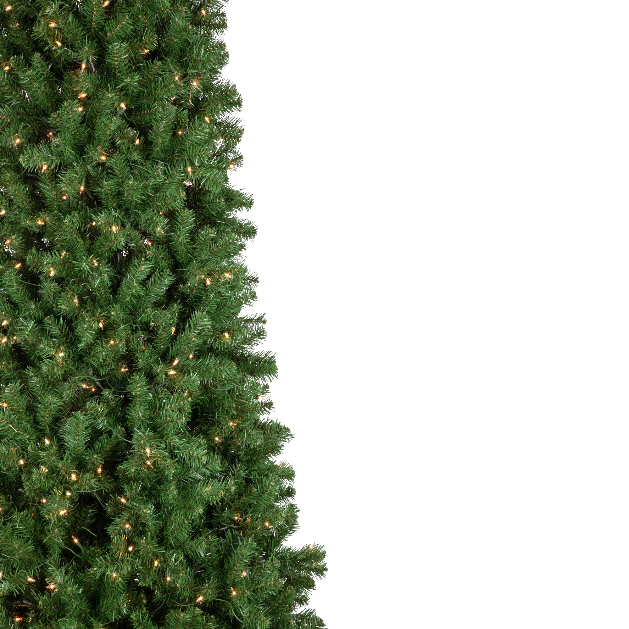 Northlight 16' Pre-Lit Pendleton Spruce Slim Artificial Christmas Tree, Clear Lights