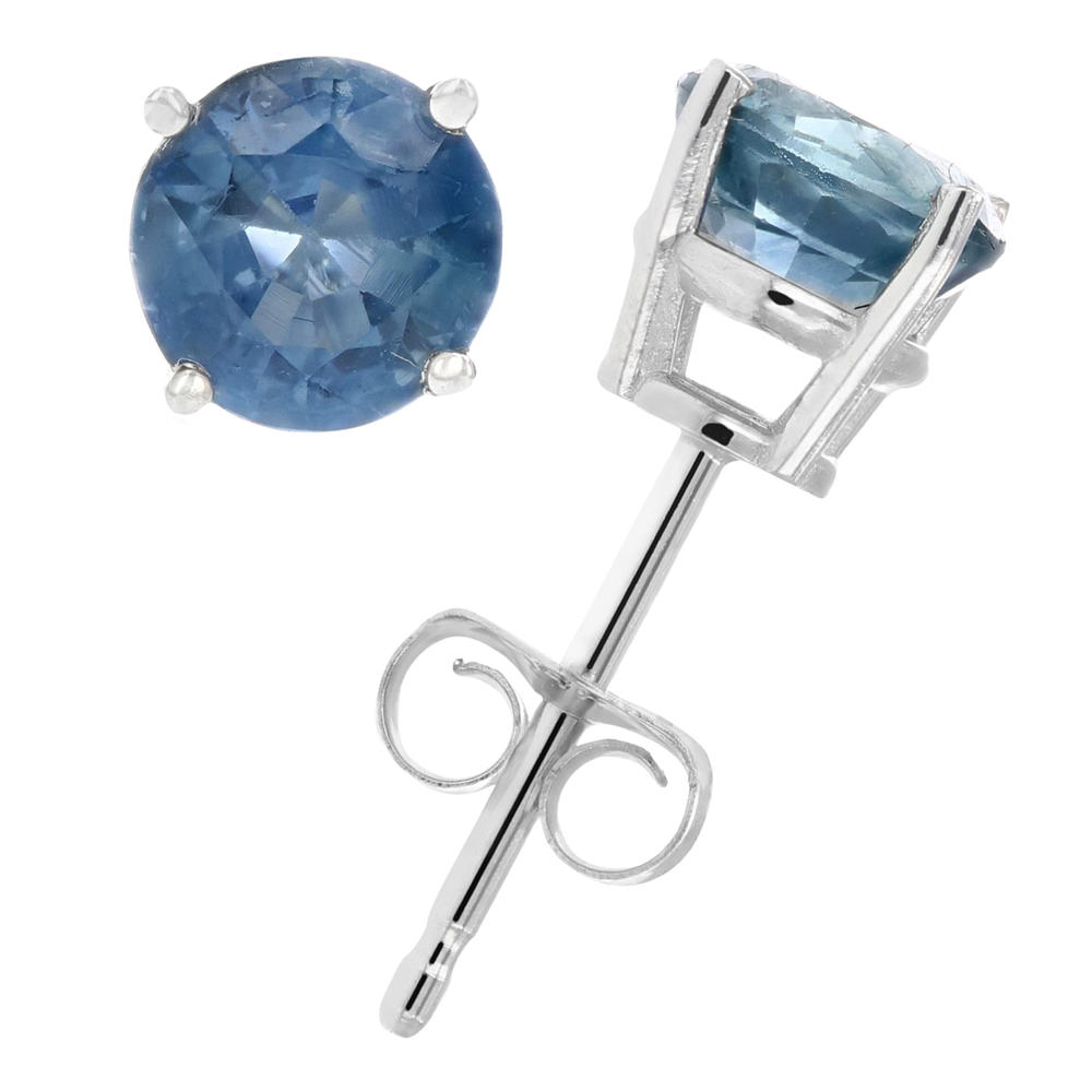 Vir Jewels 1 cttw Blue Sapphire Stud Earrings 14K Gold Round with Push Backs September Birthstone
