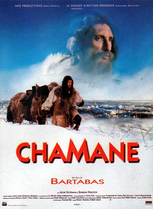 Pop Culture Graphics Chamane Poster Movie French 11 x 17 Inches - 28cm x 44cm