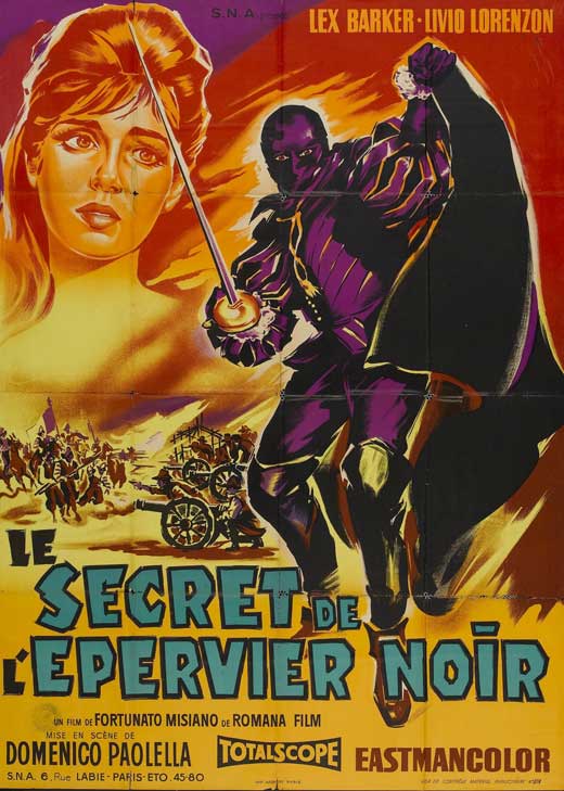 Pop Culture Graphics The Secret of the Black Falcon Poster Movie French 11 x 17 Inches - 28cm x 44cm