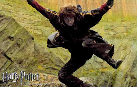 Pop Culture Graphics Harry Potter and the Goblet of Fire Poster Movie I 11 x 17 Inches - 28cm x 44cm Daniel Radcliffe Rupert Grint Emma Watson