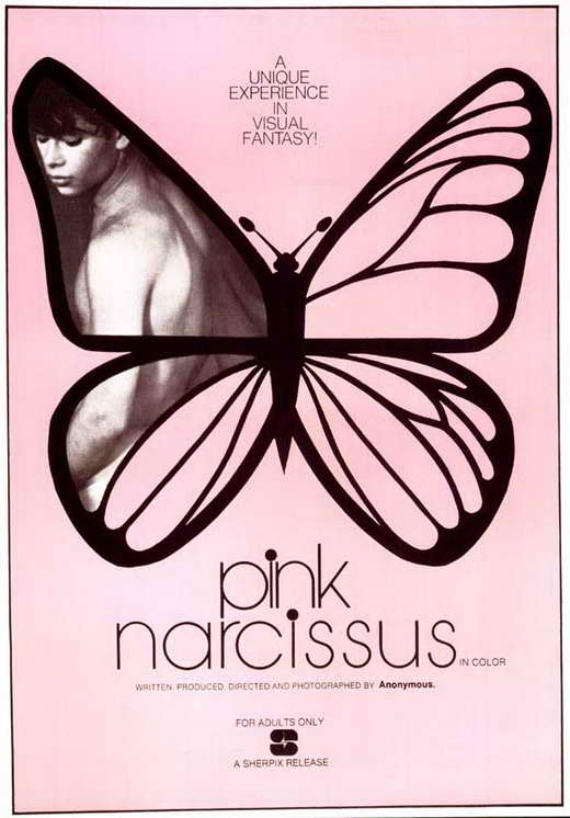 Pop Culture Graphics Pink Narcissus Poster Movie 11 x 17 Inches - 28cm x 44cm Don Brooks Bobby Kendall