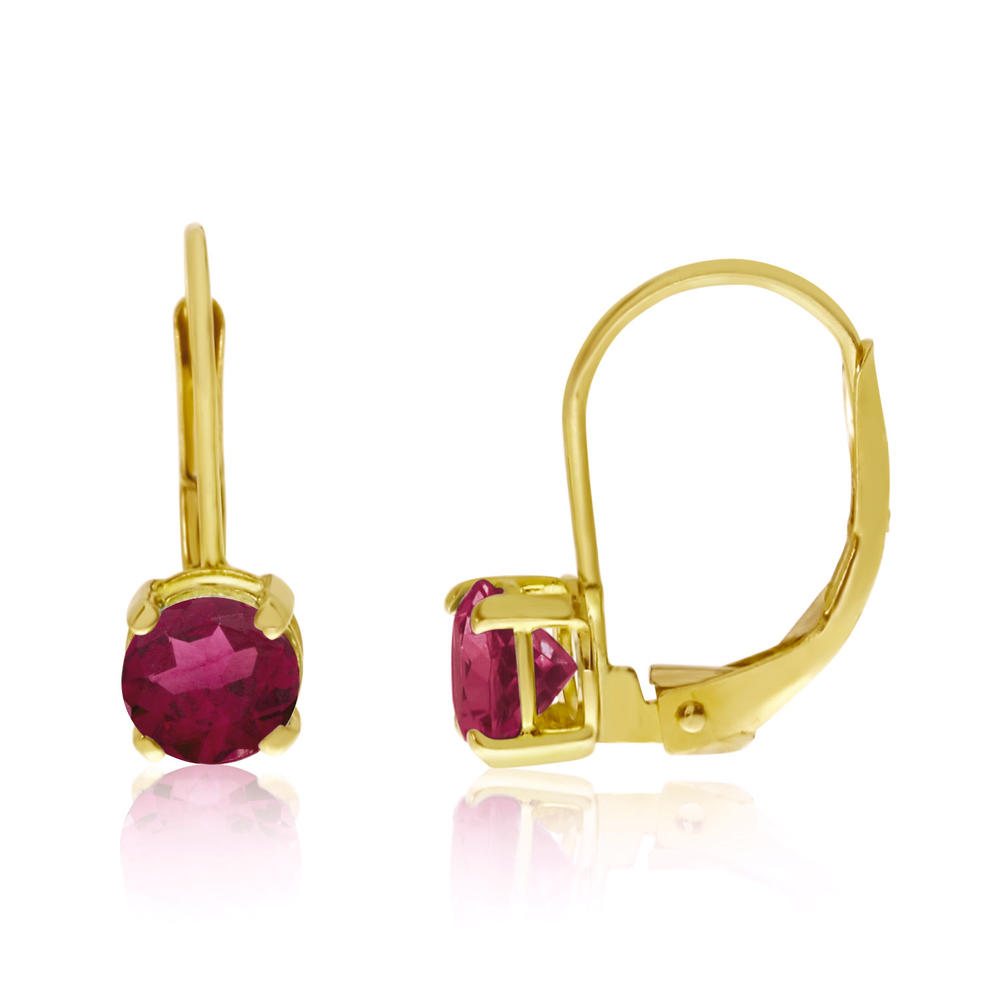 Direct-Jewelry 14k Yellow Gold 5mm Ruby Leverback Earrings