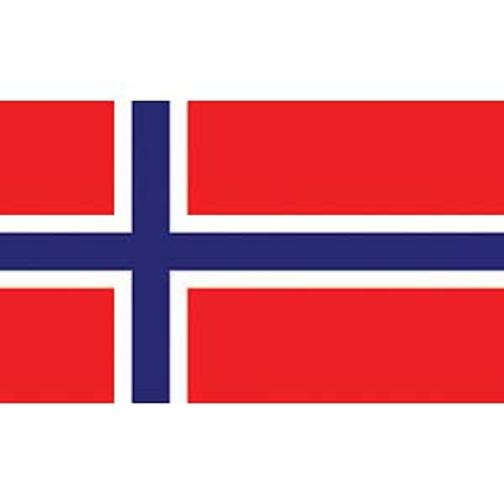 Findingking Norway Flag On A Stick 12" x 18"