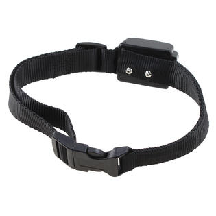 Agptek dog collar manual Outlet