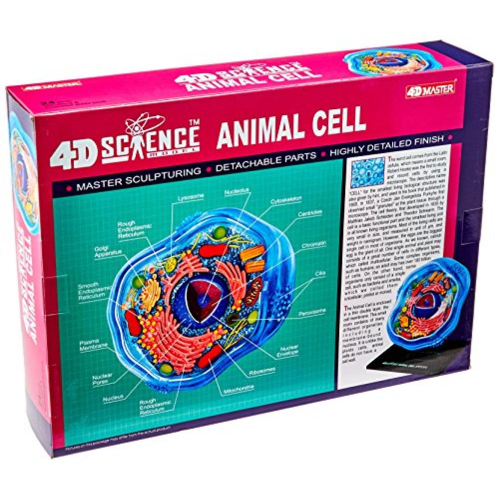 Fame Master Famemaster 4D-Science Animal Cell Anatomy Model Coral, Black,  Mint Green, Beige, Gold, Rose