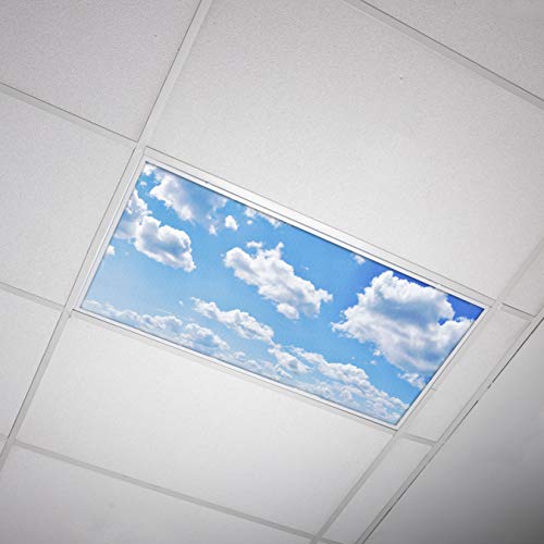 OCTO LIGHTS Fluorescent Light Covers for Classroom Office - Eliminate Harsh Glare Causing Eyestrain and Headaches. Office & Clas