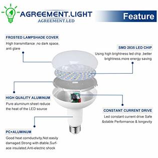 AGREEMENT.LIGHT ML-R3012W-O17 BR30 LED Light Bulb,Daylight White 5000K,12W(100W Incandescent Equivalent), Non Dimmable Medium E26 Base Edison Bulb ...