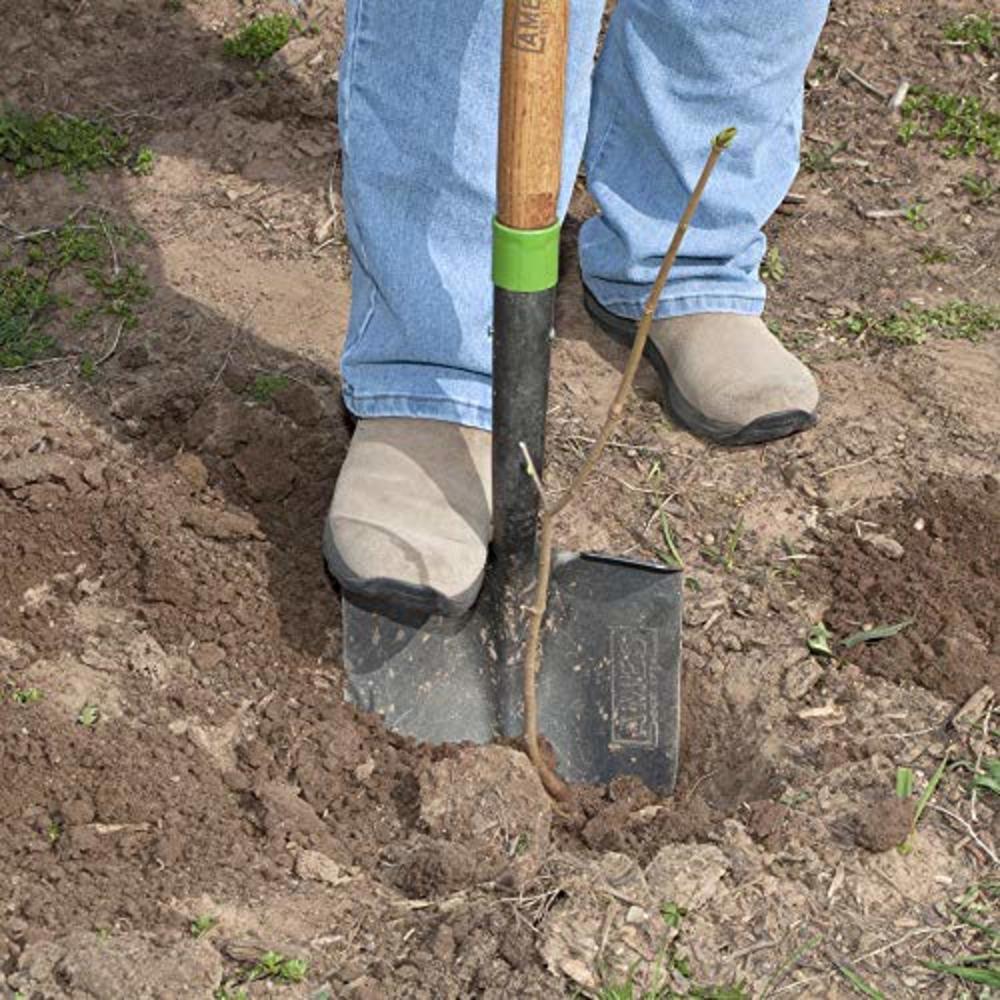 AMES 2535600 Tempered Steel Digging Shovel with Hardwood Handle, 60-Inch