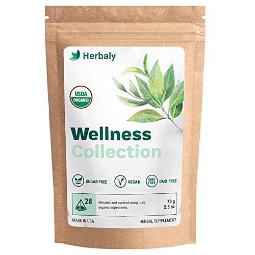 Herbaly Wellness Collection Organic Herbal Ginger Tea, 70 g, 28 Count Bag (Pack of 1)