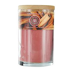 CINNAMON STICK FRAGRANCENET Soy Candle 12 Oz Tumbler A Soothing, Spicy Blend Of Cinnamon & Spice Oils Burns Approximately 30+ Hours