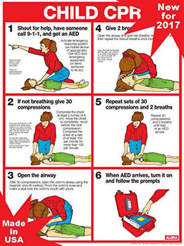 Fitnus Chart Series CPR for Children 18" X 24" Laminated Poster - 2011