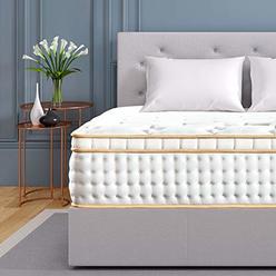 spa sensations spa sensations 12inch memory foam mattress ...