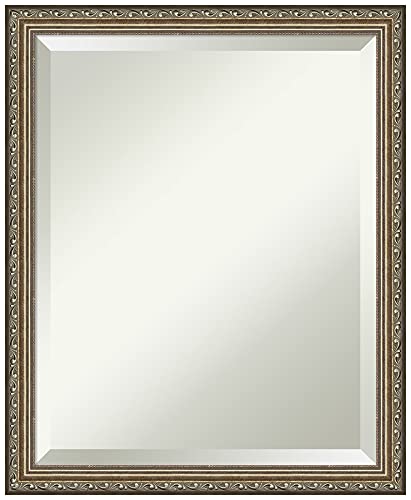 Amanti Art Wood Wall Mirror (22.1 x 18.1 in.), Parisian Silver Frame - Bathroom Mirror, Vanity Mirror - Silver, Small