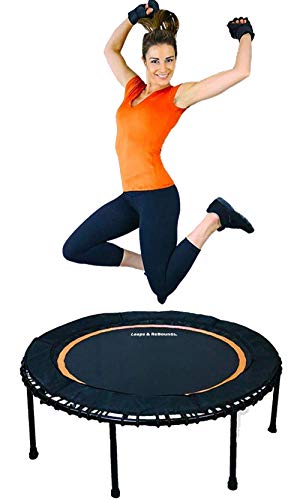 tocino editorial El otro día Leaps & ReBounds Leaps and ReBounds Mini Trampoline for Adults And Kids -  Rebounder with Online Workout Videos - For Outdoor Games, Fitness, and