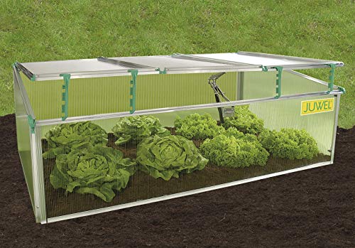 Exaco BioStar 1500 Premium Cold Frame Gardening Tool, Pack of 1, Clear
