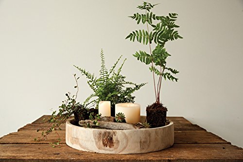 Creative Co-Op Paulownia Wood Hand Carved Tray