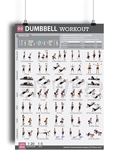 Fitwirr Dumbbell Exercise Workout Poster for Women - Laminated - Exercise  for Women - Leg, Arm, Exercises - Home Gyms -