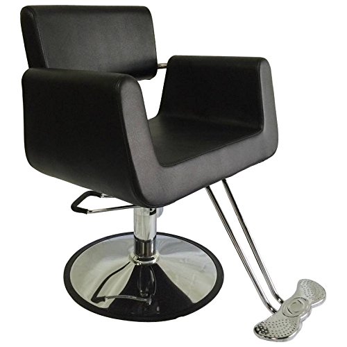 D Salon Hydraulic Comfort Styling Chair Spa Salon Beauty Equipment - DS-SC2001