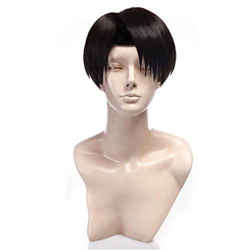 Yesui Cosplay Wig Synthetic Wigs Heat Resistant Cosplay Black Wig 12 Straight  Hair Short