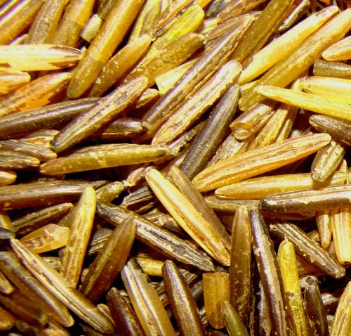 Bineshii 1 LB MN WILD RICE AMERICAN INDIAN HAND HARVESTED & WOOD PARCHED ALL NATURAL!