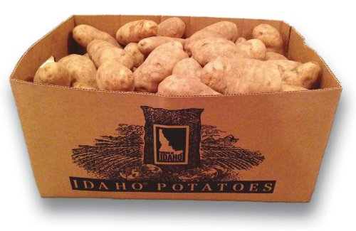 Wilcox Farms 50 Pound Box of Famous Idaho Russet Potatoes/ 80 Potatoes by Wilcox Farms