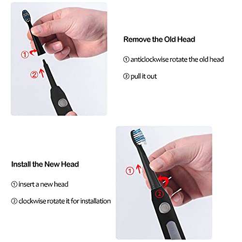 Mullburry Replacement Toothbrush Heads Compatible With Fairywill Electric Toothbrush Model Fw 507 Fw 508 11 959 917 551 D1 D3 D7 D8 W Mullburry Replacement Toothbrush Heads Compatible With Fairywill Electric Toothbrush Model Fw 507 Fw 508 11 959 917 551 D1 D3 D7 D8 W