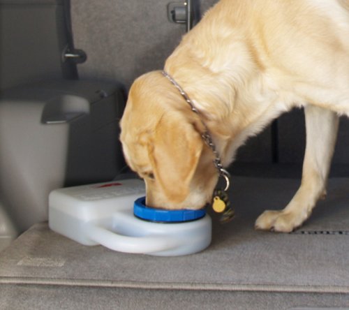 Heininger PortablePET 3059 Waterboy Travel Water Bowl for Pets (Clear), Single