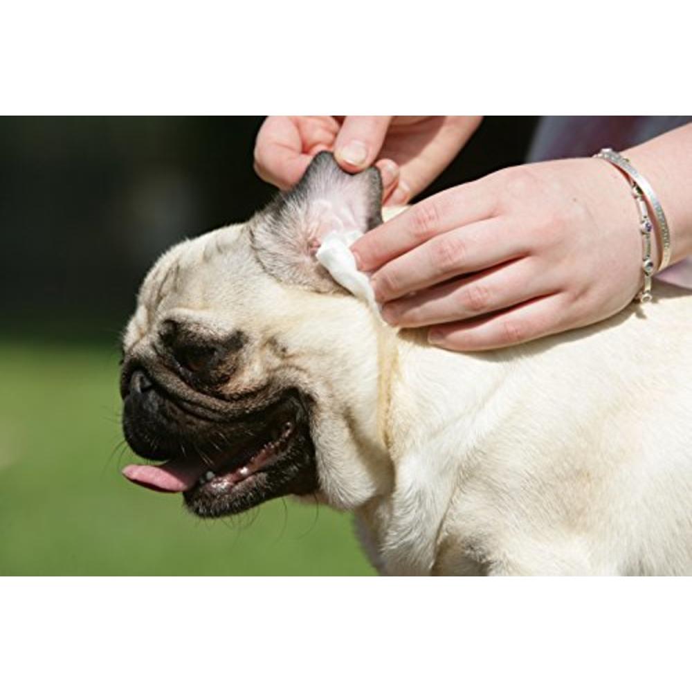 Barking Dog Products DOCTOR BEASLEYS ADVANCED EAR BOMB Is a Powerful 1 Step Cleaning Solution Treatment for Dog Ear Infections; Cleaner Replaces Drop