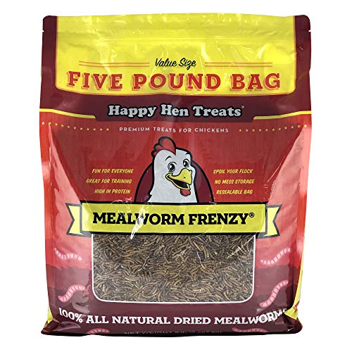Happy Hen Treats Mealworm Frenzy Pet Treat (1 Pouch), 5 Lb