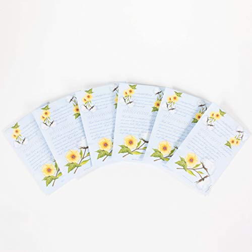 Willowbrook Co WILLOWBROOK Fresh Scents Scented Sachets - White Cotton