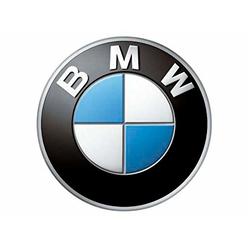 BMW 51-47-2-346-785 Floor Mat (All-Weather, Rear:519016), 1 Pack