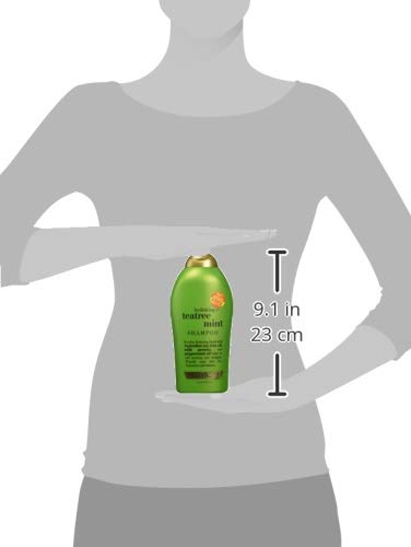 OGX (OGX) Organix Shampoo Tea Tree Mint 19.5oz Bonus Hydrating
