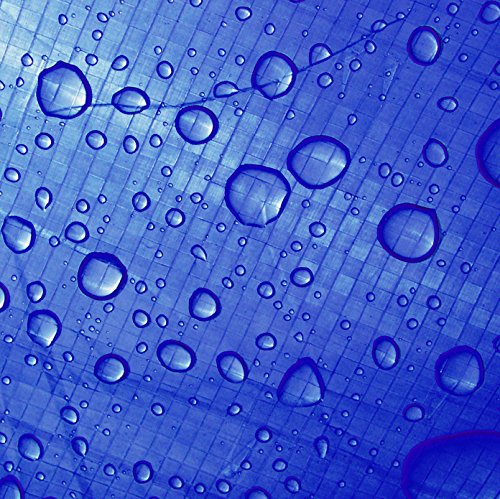 Performance Tool W6004 Reinforced Water Resistant Multi Purpose Bluee Tarp, 4 mil, 8-Feet x 10-Feet 8 x 10, Blue | Ideal for Tar