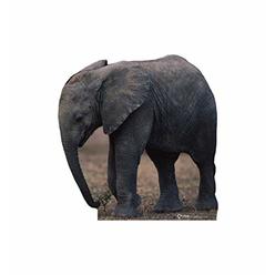 Cardboard People Advanced Graphics 224 Elephant Life-Size Cardboard Stand-Up
