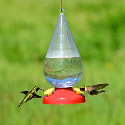 Perky-Pet Dew Drop 32-Ounce Plastic Hummingbird Feeder - 273