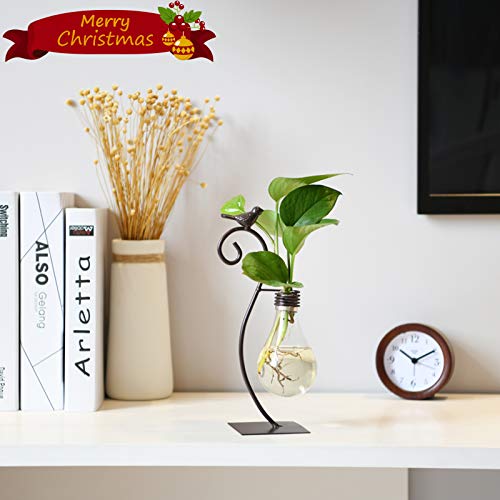 Marbrasse Desktop Glass Planter Hydroponics Vase,Planter Bulb Vase with Holder for Home Decoration,Modern Creative Bird Plant Te