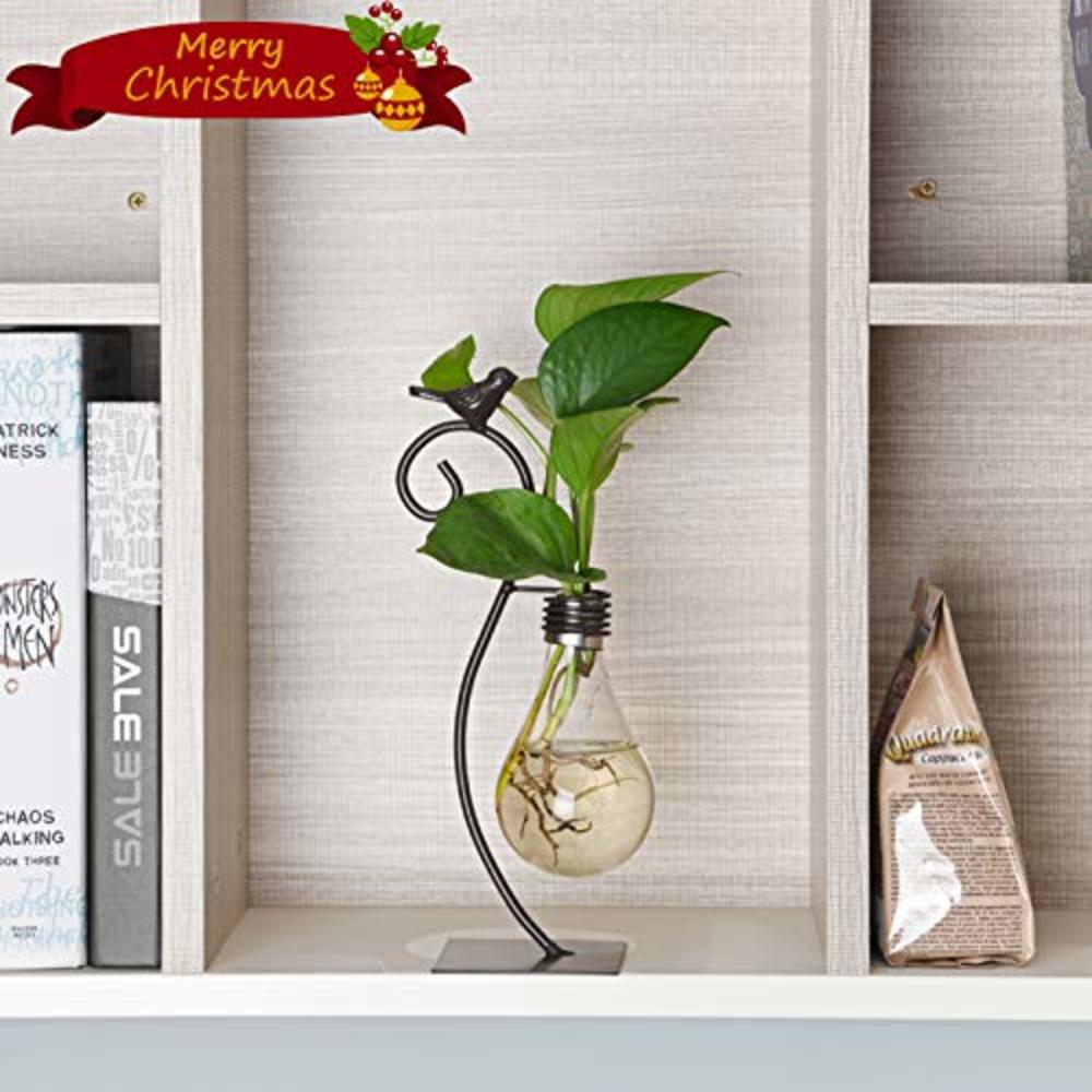 Marbrasse Desktop Glass Planter Hydroponics Vase,Planter Bulb Vase with Holder for Home Decoration,Modern Creative Bird Plant Te