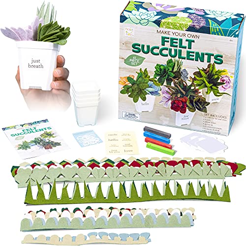 Hapinest Make Your Own Potted Felt Succulents | DIY Arts and Crafts Kit for Adults, Teens and Kids Girls Ages 6 7 8 9 10 11 12 Y