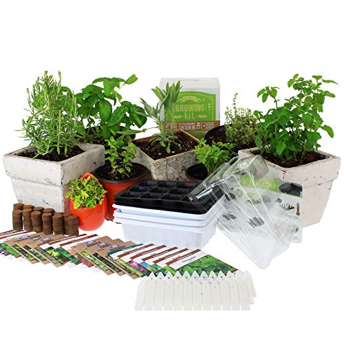Mountain Valley Seed Culinary Indoor Herb Garden Starter Kit | Premium Herb Seeds | 18 Non-GMO Varieties | Grow Cooking Herbs & Spices | Seeds: Mint,