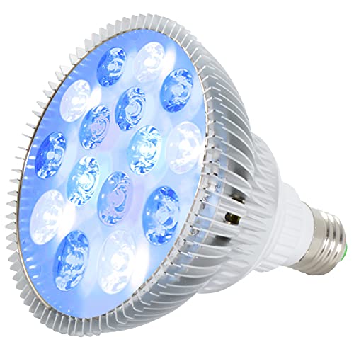 ABI LED Aquarium Light Bulb 23W Blue and White PAR38