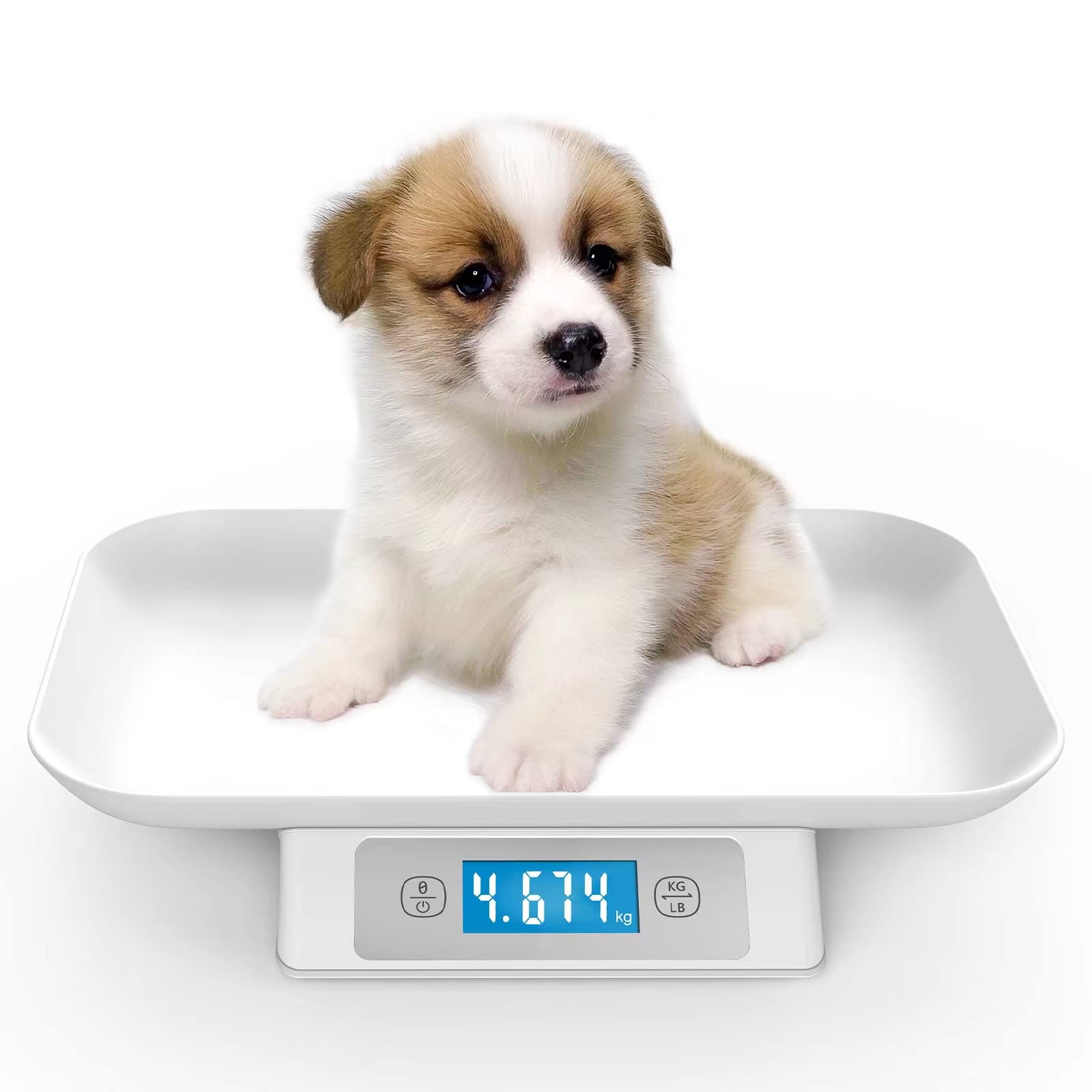 Newborn pet Scale, Puppy Scale, Kitten Scale, Small Animal Scale, pet Scale