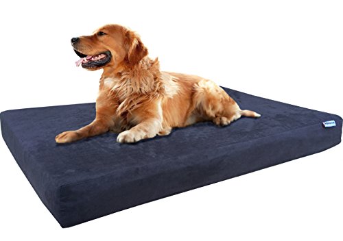Dogbed4less XL Orthopedic gel Infused cooling Memory Foam Dog Bed for Medium to Large Pet Waterproof Liner and Suede Espresso Ex
