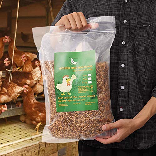 Temminc Non-gMO Dried Mealworms 22LB100% Natural Large Size No MoistureTreats for Birds chickens Hedgehog Hamster Fish Reptile Turtles